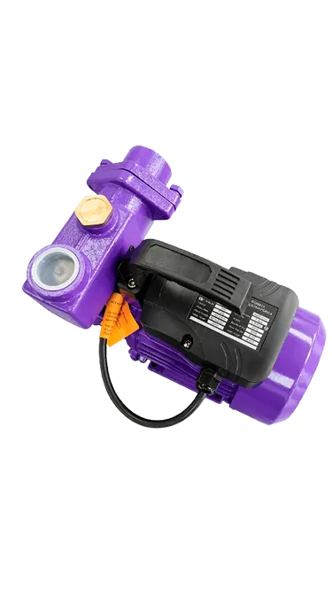 Self-priming Peripheral Pump PKSm80