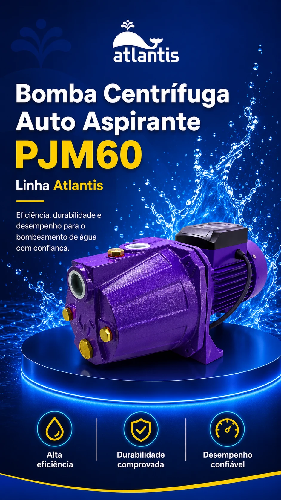 PJm-60 motor detail