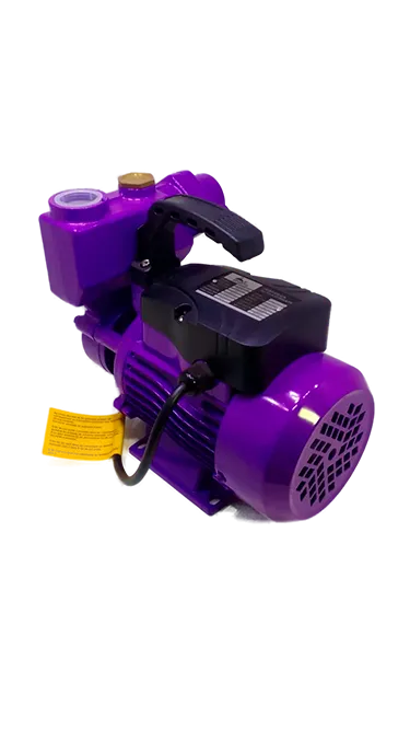 Self-Priming Peripheral Pump PKSm60