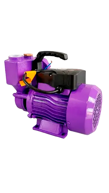 Self-priming Peripheral Pump PKSm80