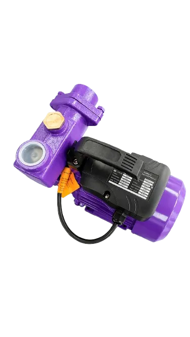 Atlantis Peripheral Pump QB80