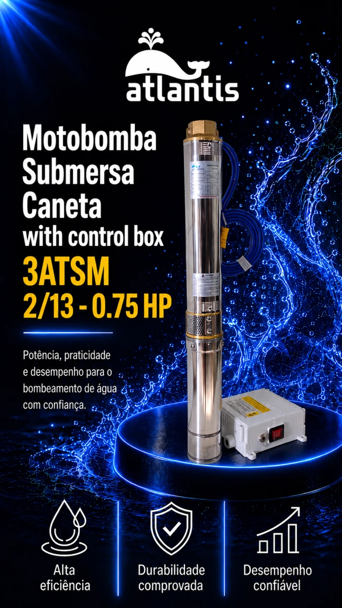 Submersible Stick Pump with control box 3ATSM 2/13 - 0.75 HP — Atlantis